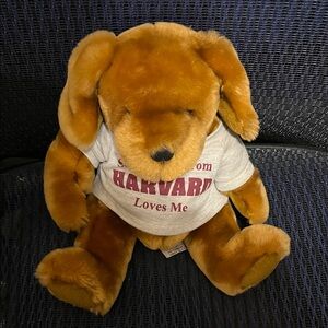 Harvard University Teddy Bear w/ Hoodie - 9" Plush Soft Toy - Velvete